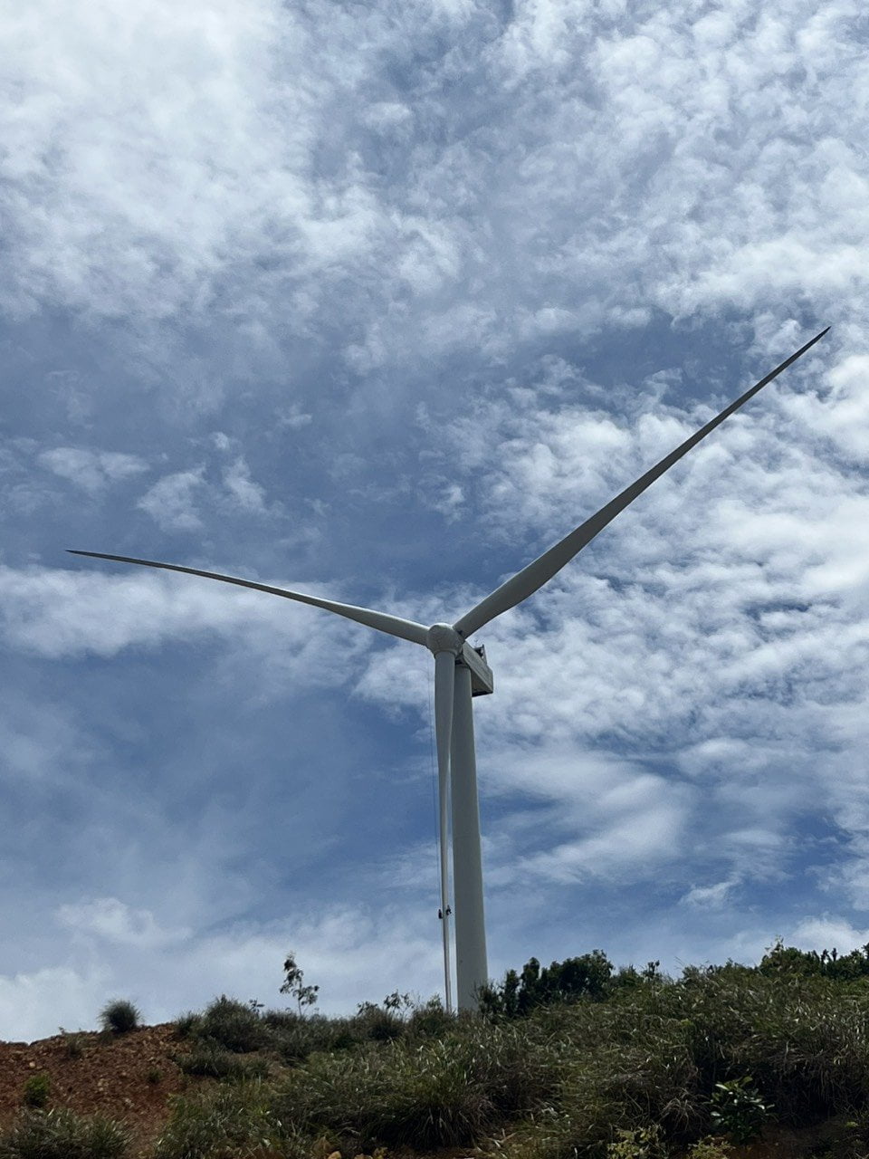 Khai thác sức mạnh của thiên nhiên: Tìm hiểu năng lượng gió và cách thức hoạt động của nó